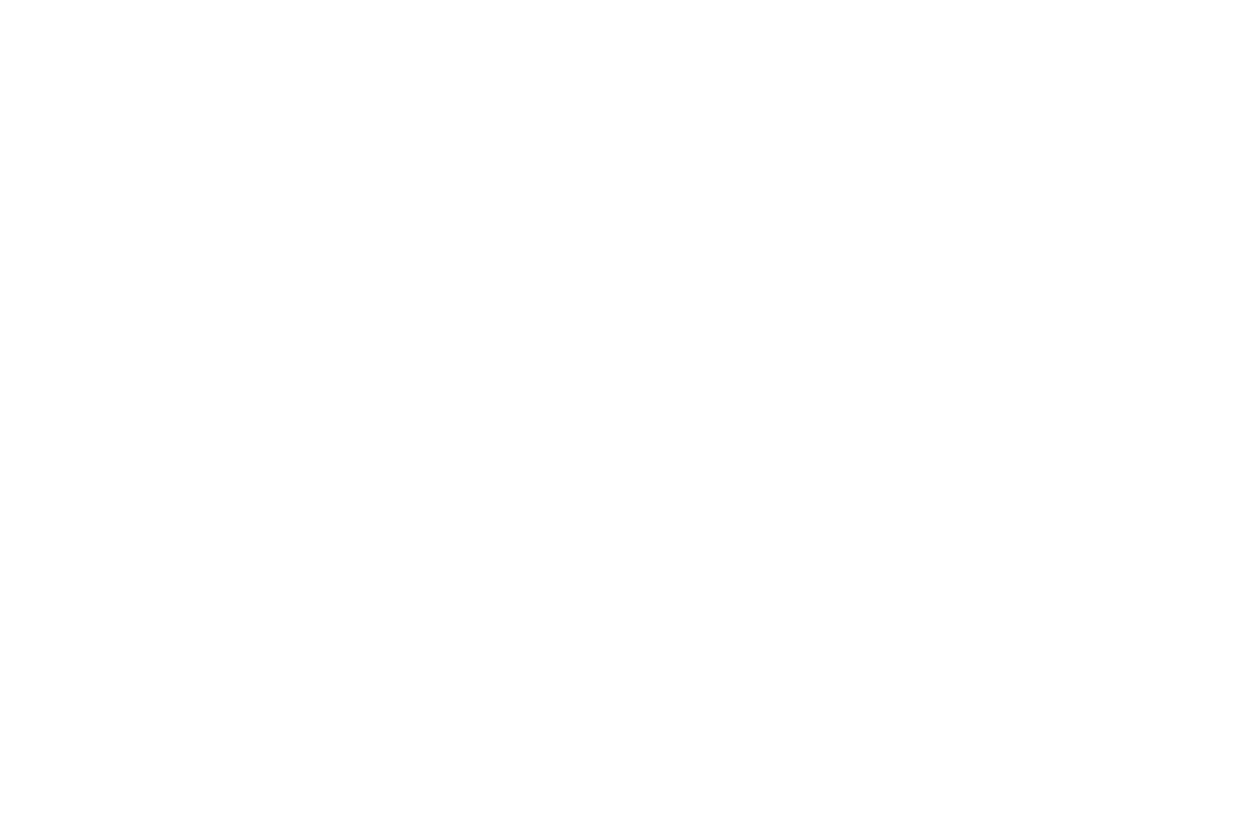STM Logo